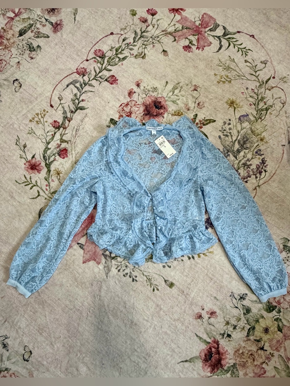 Sky Blue Lace Ruffle Blouse with Button Front